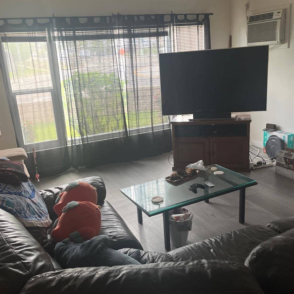 Comfortable little place
