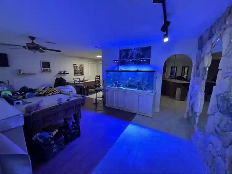 house furnished bedroom avabl