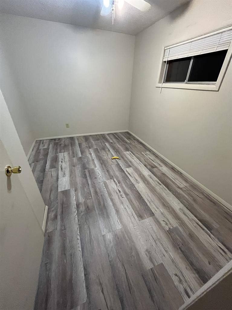 Roommate wanted