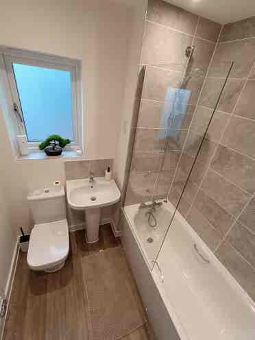 single room available