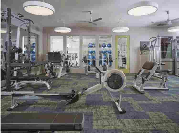 1 Bed + Private Bath Sublease