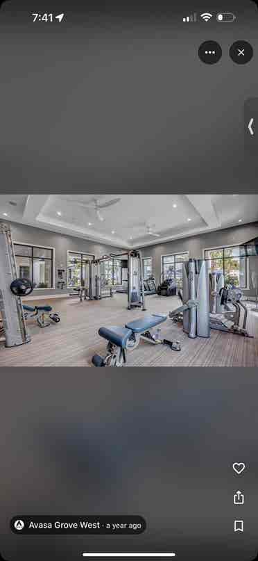 Looking for roommatees