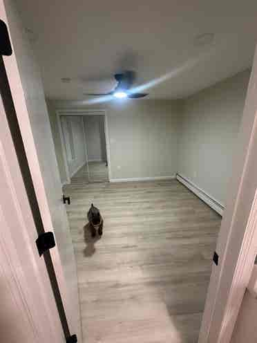 Modern Gorgeous Huge 1BR Apartment,