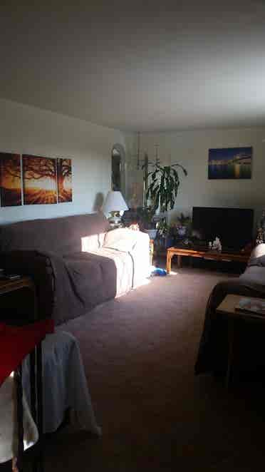 Room for Rent