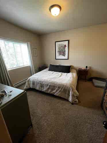Roommate needed