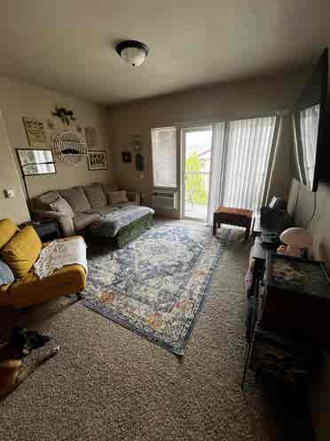 Roommate needed