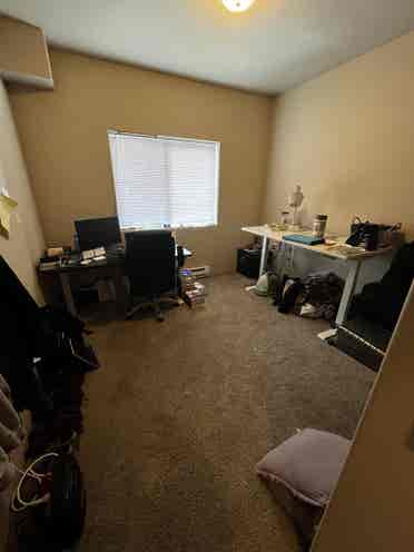 Roommate needed