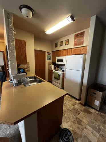 Roommate needed