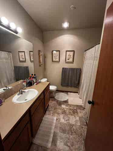 Roommate needed