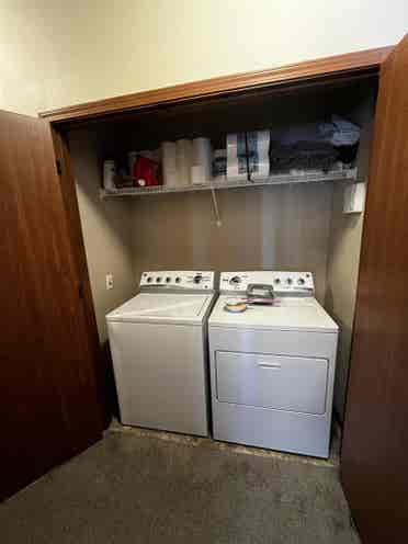 Roommate needed