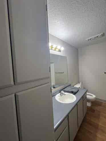 Looking for single/couple roommate