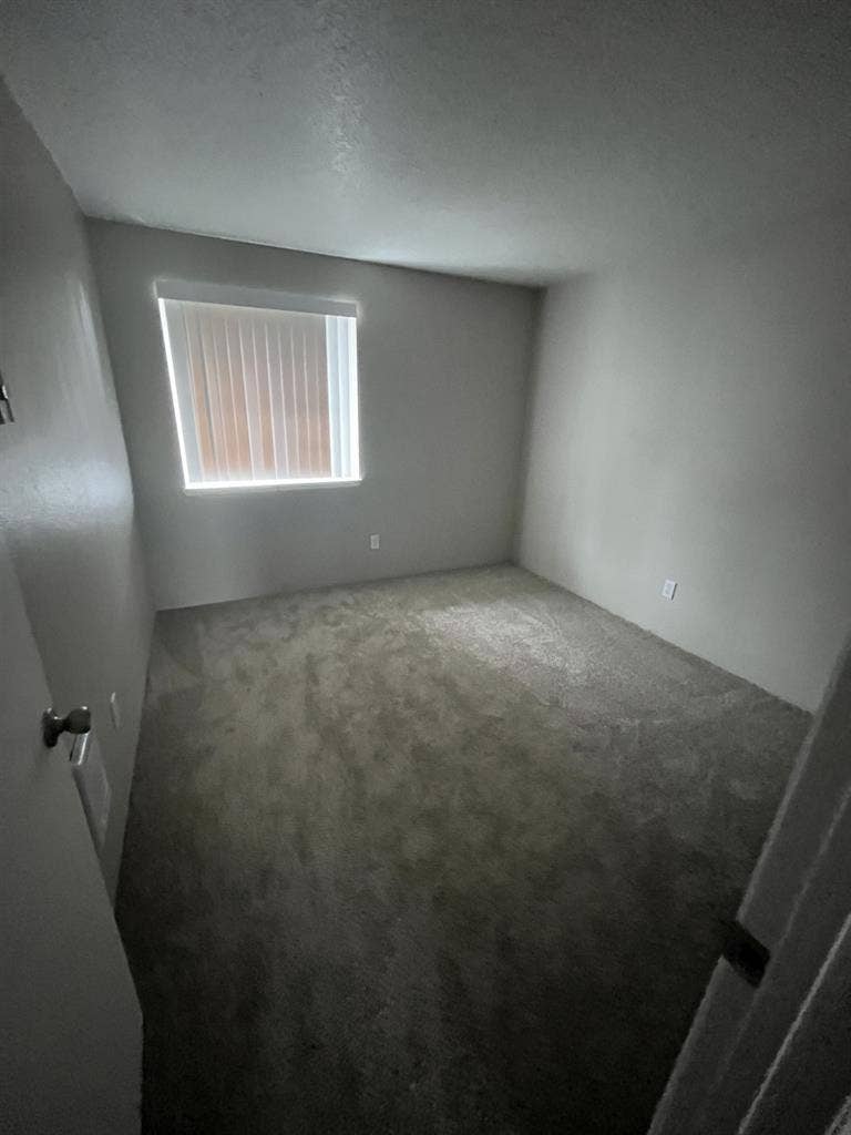 Looking for single/couple roommate