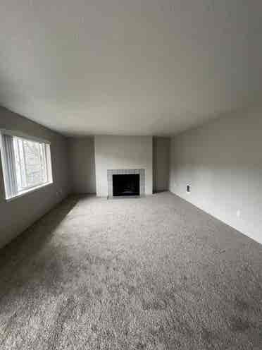 Looking for single/couple roommate
