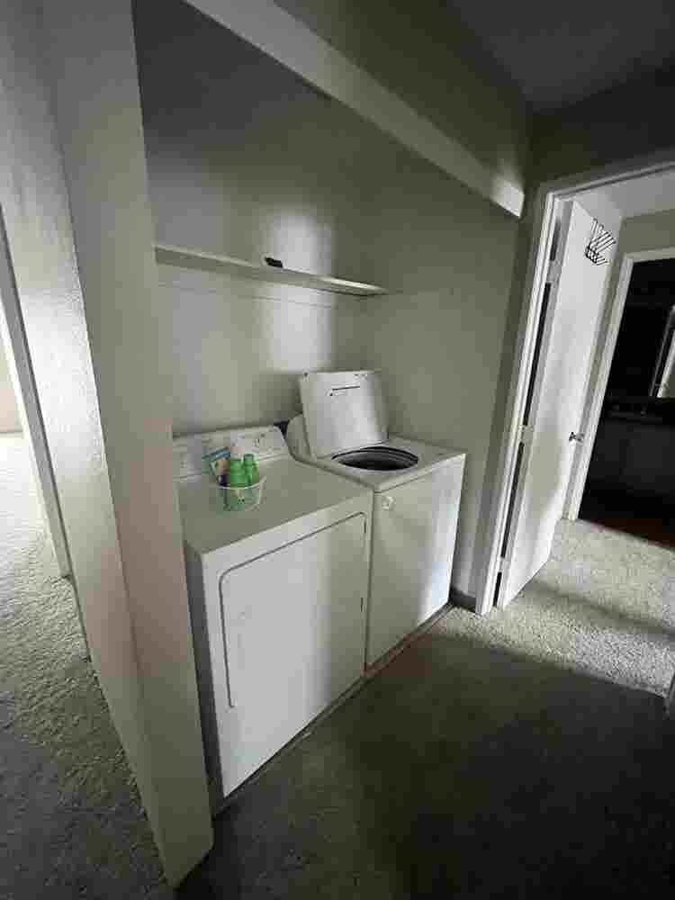 Renting bedroom/private bathroom
