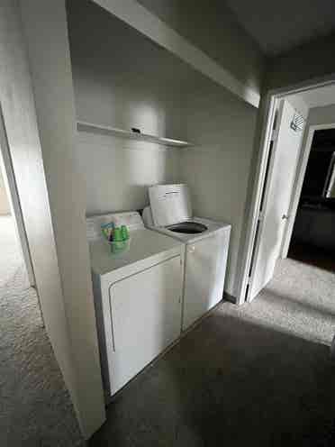 Looking for single/couple roommate