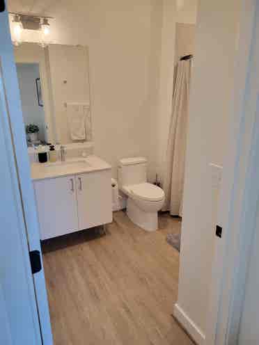 Top-floor 6 month sublet in OldTown