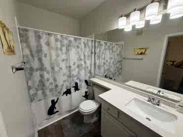 Looking to sublease my apartmentt