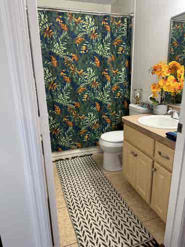 Looking for a Roommate !!!