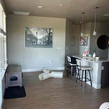 Room for rent in North Natomas