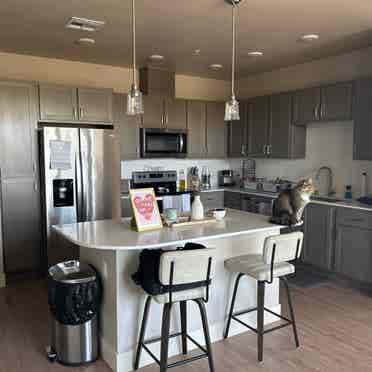 Room for rent in North Natomas