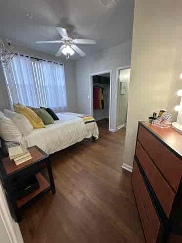 The Chelsea Apartments