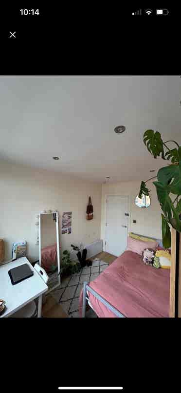Cozy Double Room in Bethnal Green