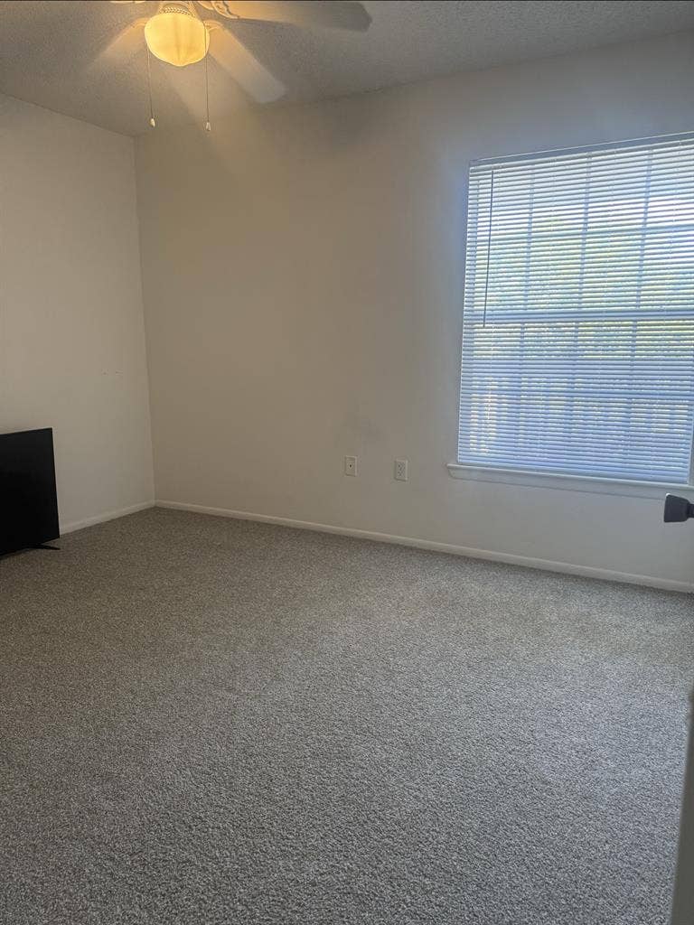 Room available for female roommate!