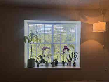 Room available for female roommate!