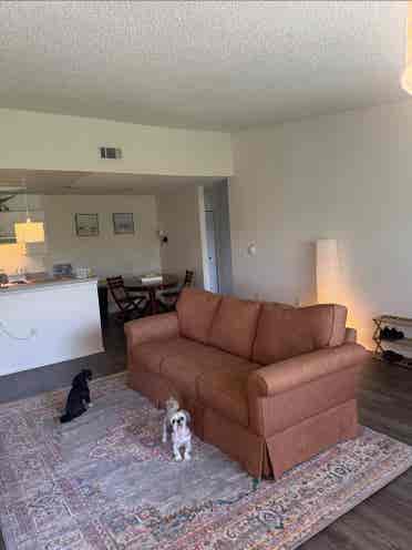 Room available for female roommate!