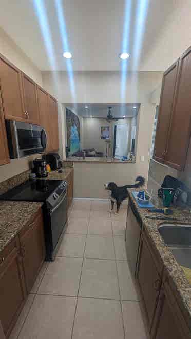 Kind, Caring, Clean Abode