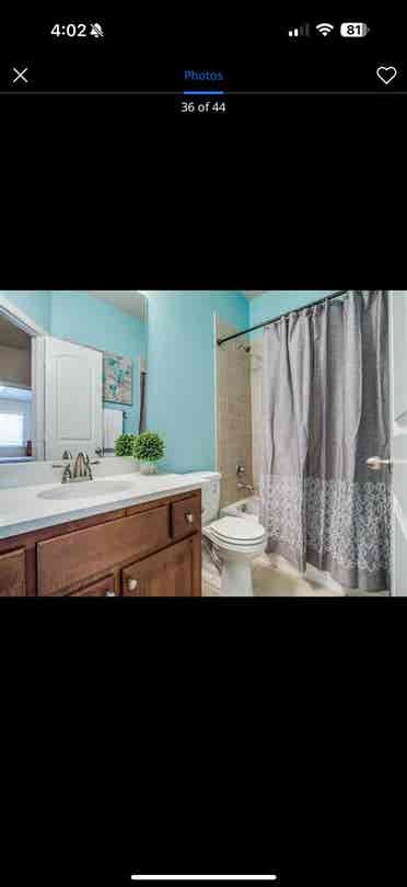 In search of two roommates come