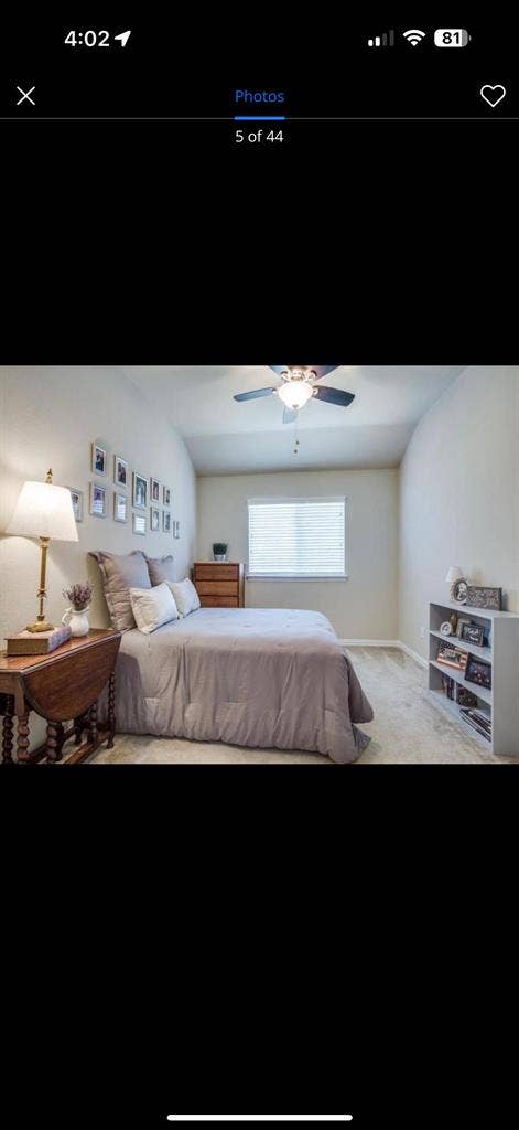 In search of two roommates come