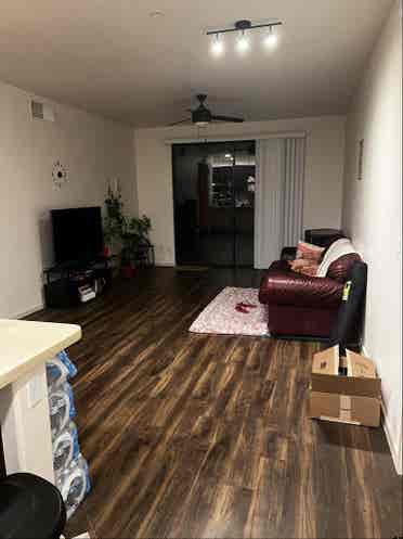 Looking for female roommate