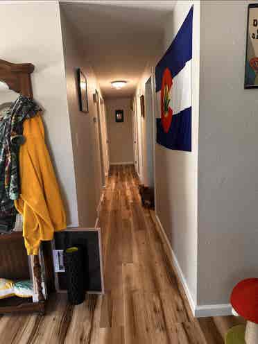 Room for rent