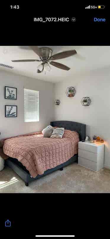 Room for rent