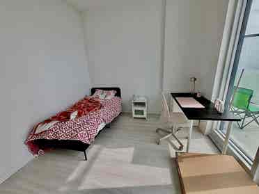 Looking for a female roommate