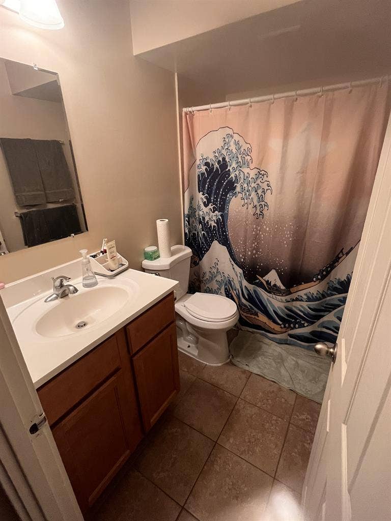 Spring/Summer 1 Bedroom Sublease