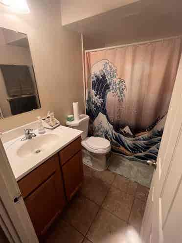 Spring/Summer 1 Bedroom Sublease