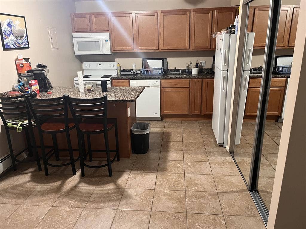 Spring/Summer 1 Bedroom Sublease