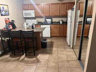 Spring/Summer 1 Bedroom Sublease