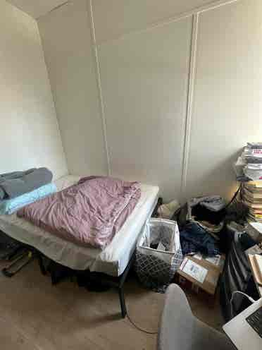 💕 Room in Midtown South 💕
