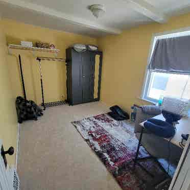 Spare bedroom, dog lover is a must