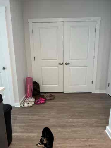 Room
 for rent in
 luxury apt