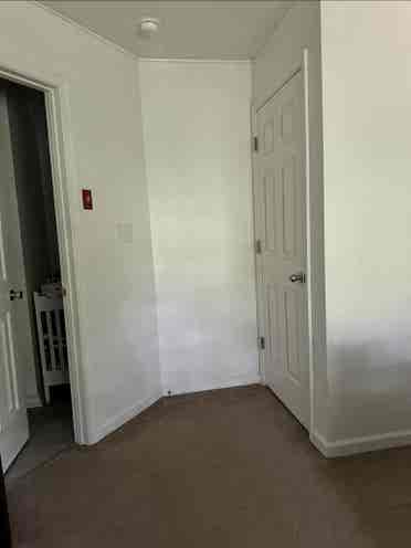 Master room
 for rent
