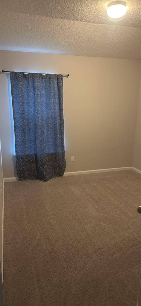 Single room, shared bathroom
