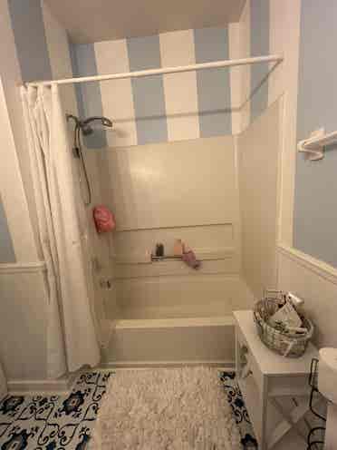 Looking for a roommate