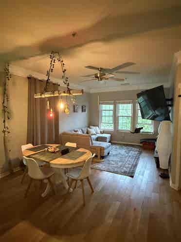 Looking for a roommate