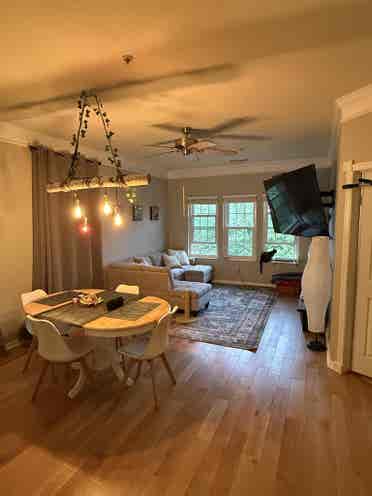 Looking for a roommate
