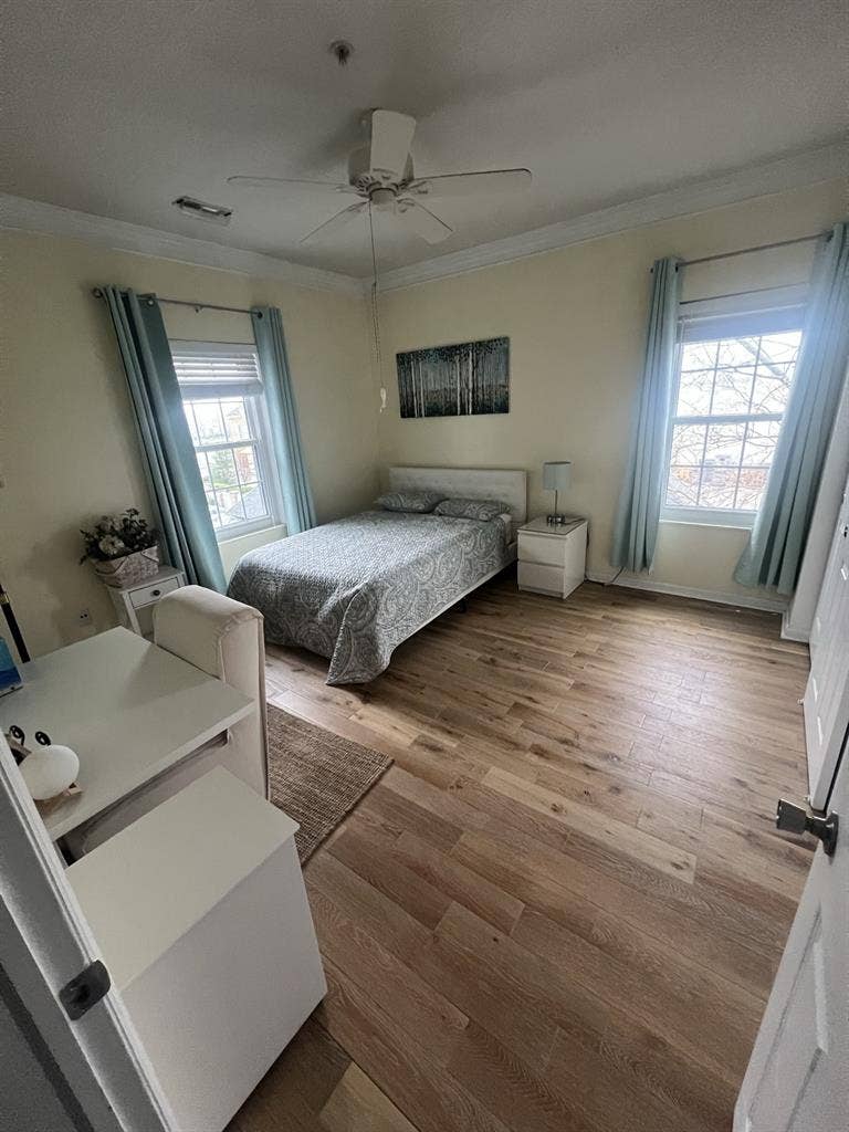Looking for a roommate