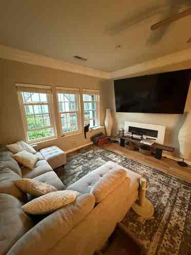 Looking for a roommate